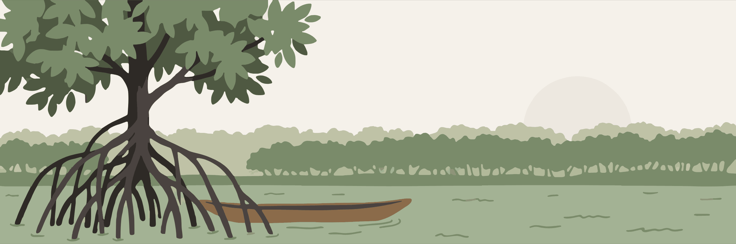 Mangrove creek with a dugout canoe